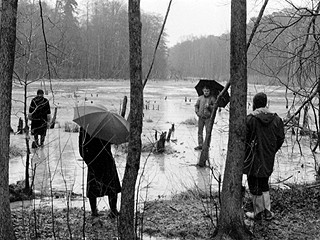 Rolf Julius «Concert for a Frozen Lake»