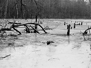 Rolf Julius «Concert for a Frozen Lake»