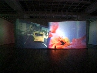 Pipilotti Rist »Remake of the Weekend«