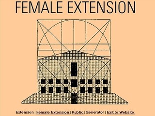 Cornelia Sollfrank «Female Extension»