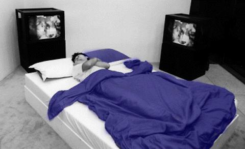 Paul Sermon «Telematic Dreaming» | Telematic Dreaming (installation view) Paul Sermon «Telematic Dreaming» | Telematic Dreaming (installation view)