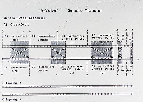 Sommerer/Mignonneau »A-Volve« | A-Volve (Genetic Transfer)