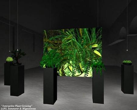 Sommerer/Mignonneau »The Interactive Plant Growing« | The Interactive Plant Growing (3D-Modell)