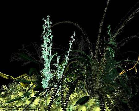 Sommerer/Mignonneau «The Interactive Plant Growing»