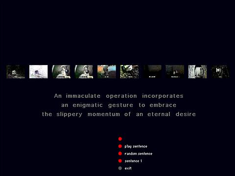 Bill Seaman «The Exquisite Mechanism of Shivers» | Screenshot from the CD artintact1