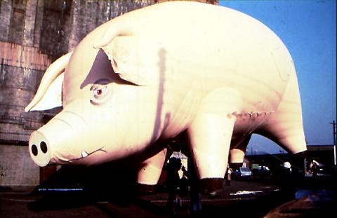 Jeffrey Shaw «Pig for Pink Floyd»