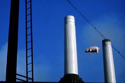 Jeffrey Shaw «Pig for Pink Floyd»