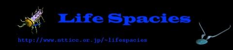 Sommerer/Mignonneau «Life Spacies»