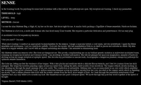 VNS Matrix «Dirty Work for Slimey Girls» | Sense - Virginia Barratt (VNS Matrix)