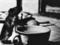 Joyce Wieland »Rat Life and Diet in North America«