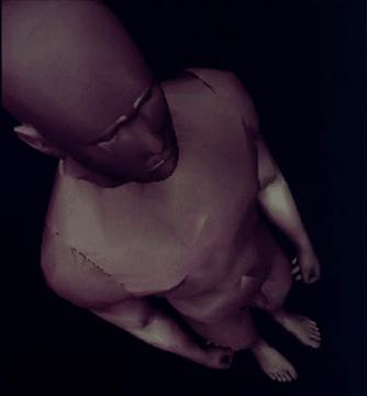 Victoria Vesna »Bodies INCorporated«