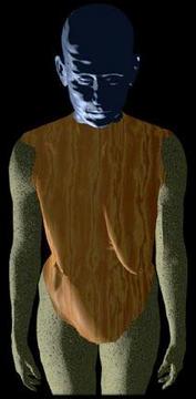 Victoria Vesna »Bodies INCorporated«