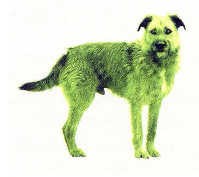 Green deals k 9