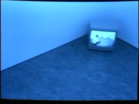 Bruce Nauman »Video Surveillance Piece«