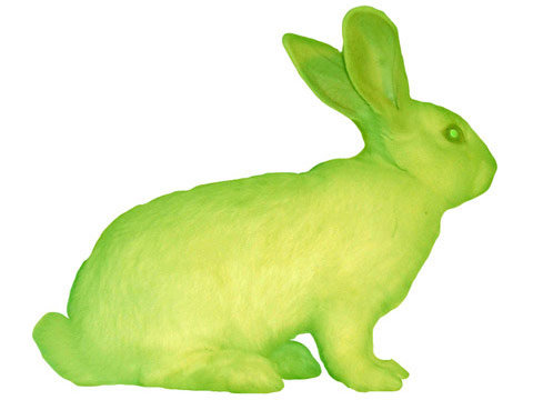 Eduardo Kac »GFP Bunny«