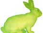 GFP Bunny (Kac, Eduardo), 2000