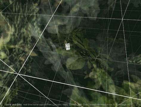 Charlotte Davies «Osmose» | Osmose, «Forest and Grid», Real Time Frame Capture