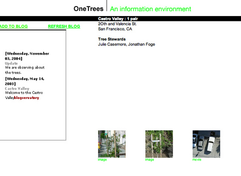 Natalie Jeremijenko «One Trees» | Location Castro Valley, San Francisco