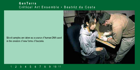 Critical Art Ensemble (CAE) »GenTerra«