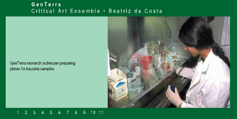 Critical Art Ensemble (CAE) «GenTerra»