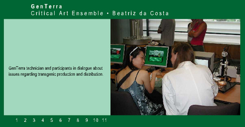 Critical Art Ensemble (CAE) »GenTerra«