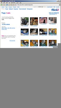flickr &laquo;cameraphone canada car cat&raquo;