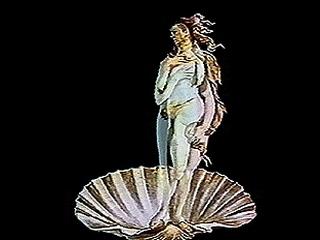 Ulrike Rosenbach »Reflexionen über die Geburt der Venus«
