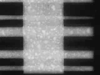 Lutz Dammbeck »Hommage à La Sarraz« | Hommage à La Sarraz, Filmkader (Non-Camera Film)