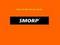 Adib Fricke «The Word Company»